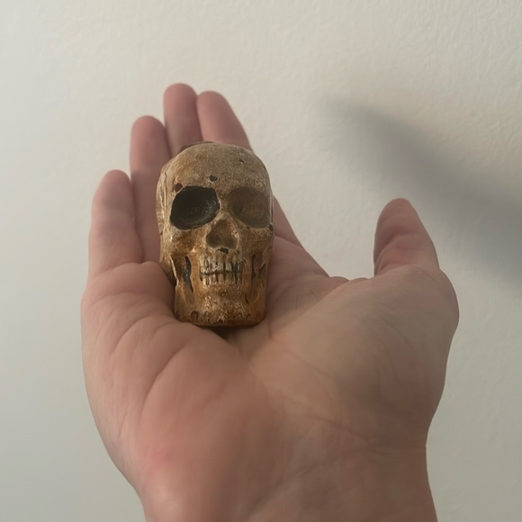 Miniature skull - Picture 1 of 5